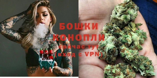 соль ск Коряжма