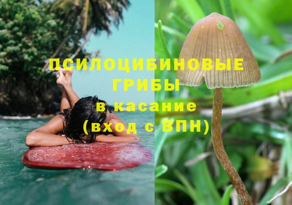 твердый Костерёво