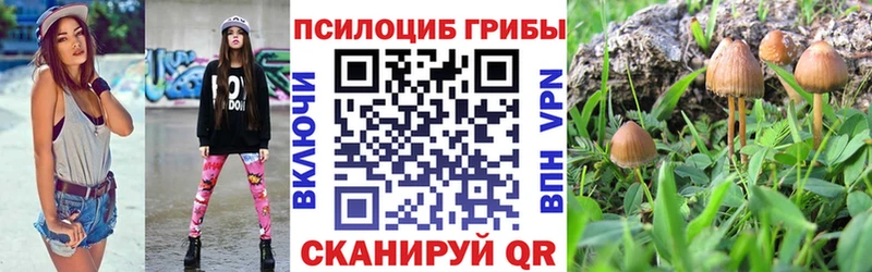 Галлюциногенные грибы прущие грибы  Купить закладки  Дубна 